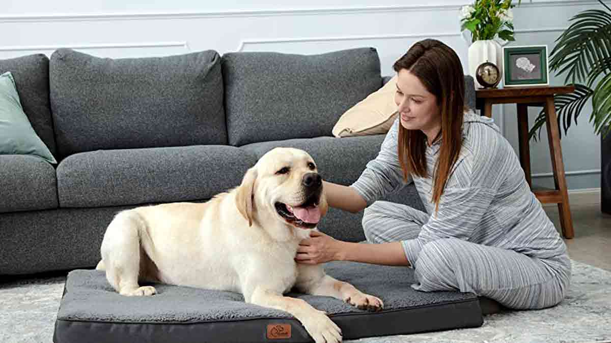 Cama para perros grandes