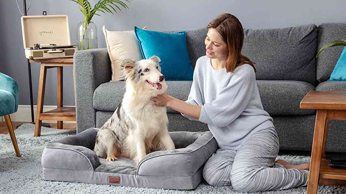 Cama para perros pequeños