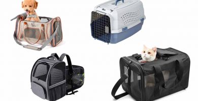 Claves al comprar el mejor transportín para gatos y perros