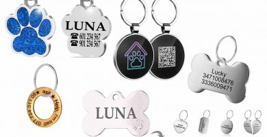 Las mejores chapas personalizadas para perros y gatos