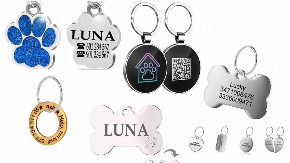Las mejores chapas personalizadas para perros y gatos