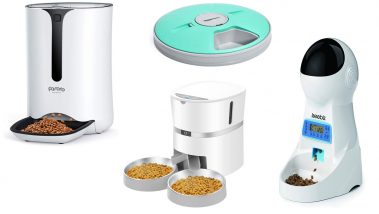 Los mejores comederos automáticos para gatos y perros