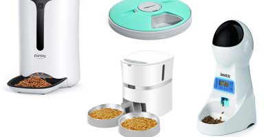 Los mejores comederos automáticos para gatos y perros