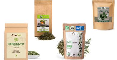 Guía para comprar las mejores infusiones de ortiga verde