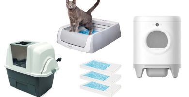 Las mejores cajas de arena para gatos autolimpiables