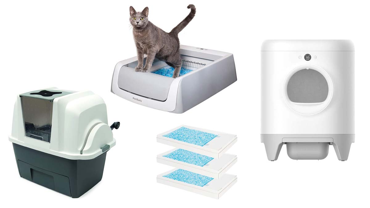 Los mejores areneros para gatos fáciles de limpiar y de calidad