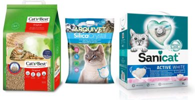 Las mejores arenas para gatos aglomerantes y de gel de sílice