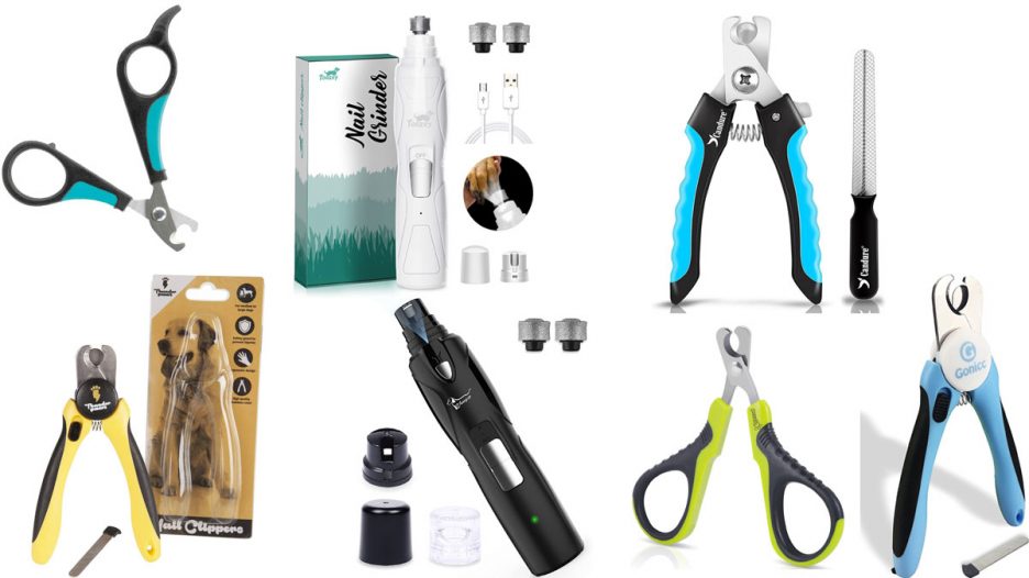 Guía para comprar los mejores cortaúñas para perros y gatos