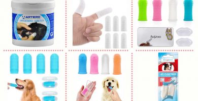Cómo elegir los mejores dedales para limpiar los dientes del perro