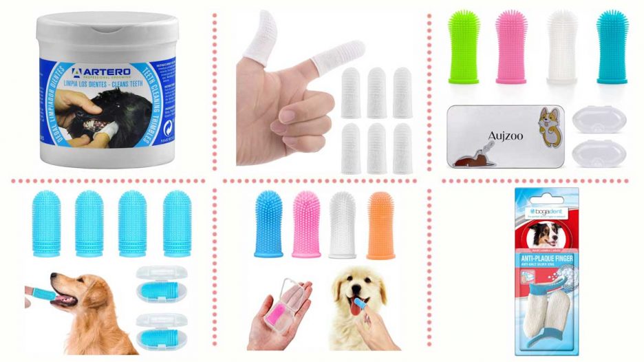 Cómo elegir los mejores dedales para limpiar los dientes del perro