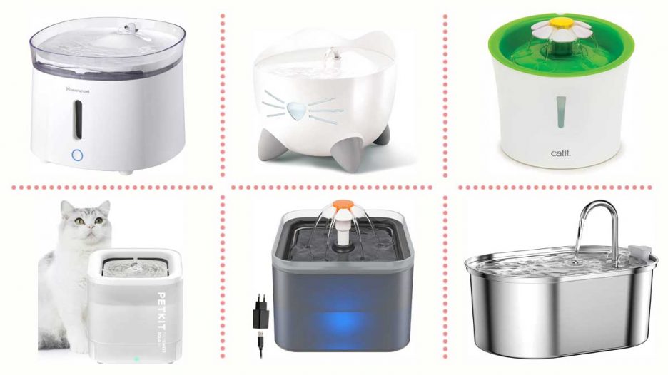 Lo que hay que tener en cuenta para comprar la mejor fuente para gatos