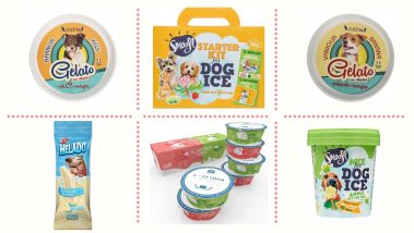 ¿Cuál comprar? Los mejores helados para perros