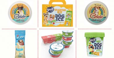 ¿Cuál comprar? Los mejores helados para perros