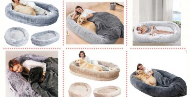 Selección de las mejores camas gigantes para perros y personas.
