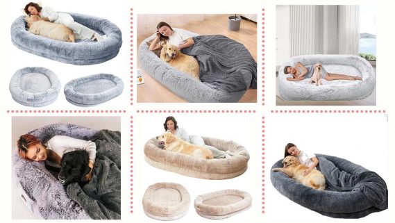 Selección de las mejores camas gigantes para perros y personas.