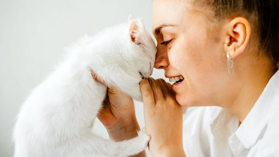 Acariciar a un gato