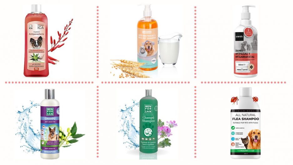 Champú antipulgas perros