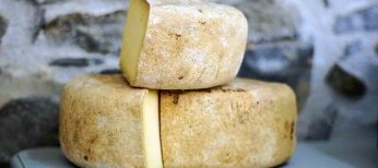 Cada español consume casi 20 kilos de queso al año