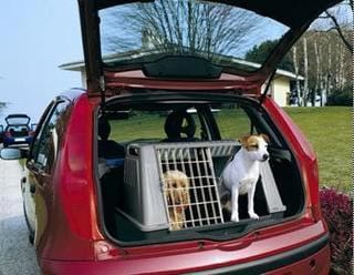 Transporte de perros en un coche.