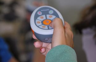 ¿Has entendido la lección?