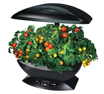 Huerto para el hogar