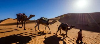 Todo el misterio del Sahara, a dos horas para escapadas de fin de semana