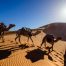 Todo el misterio del Sahara, a dos horas para escapadas de fin de semana