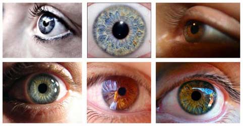 Color de ojos