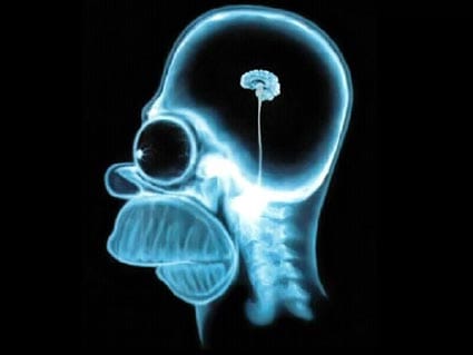 Cerebro de Homer Simpson