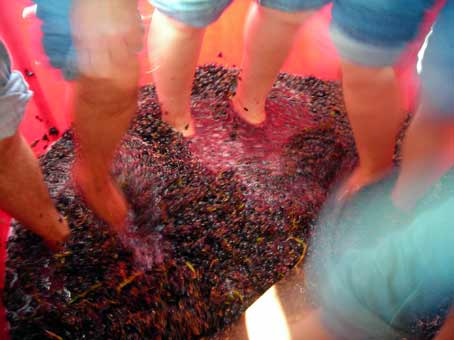 La Ribera del Duero pisa fuerte