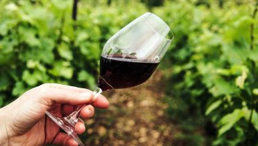 Las mejores rutas del vino de Europa