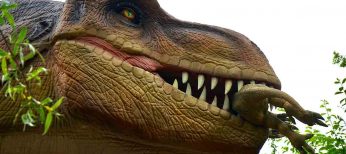 Viaja al pasado con una exposición de dinosaurios de 3 metros de altura