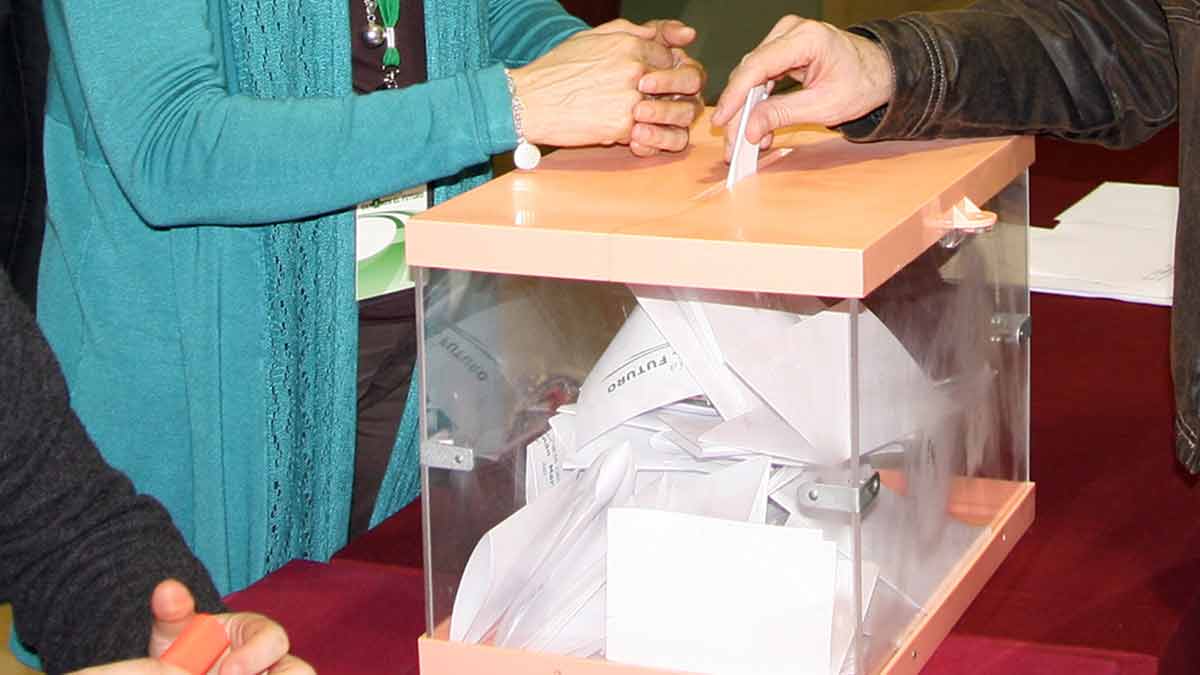 ¿Cuándo y por qué se sabe el resultado de las elecciones?
