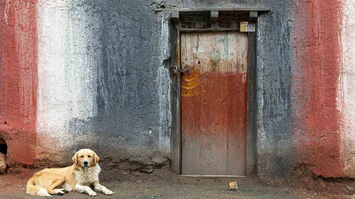 Cerca de la mitad de la población urbana mundial vive en chabolas