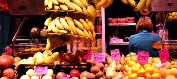 Todo sobre las rutas gastronómicas de España en un único portal: alimentacion.es