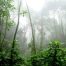 Google mostrará en el Street View la selva y el río del Amazonas