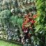 Los jardines verticales ahorran energía