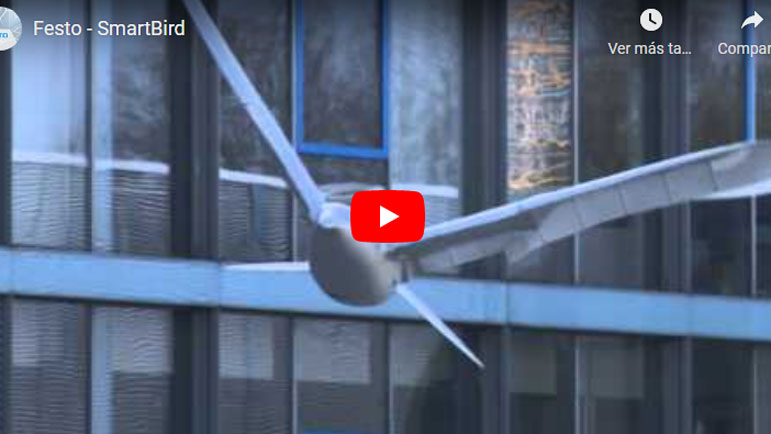 Video de un pájaro robot