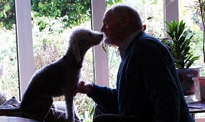 El mejor amigo del hombre, el perro, también ayuda a vivir más años.
