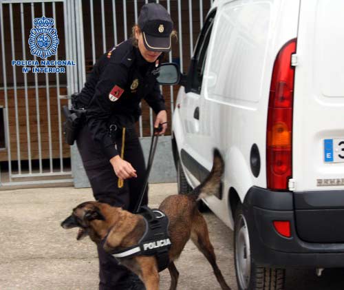 Perro Policía que ayudó a encontrar los billetes de euro de la operación Emperador en Cobo Calleja.