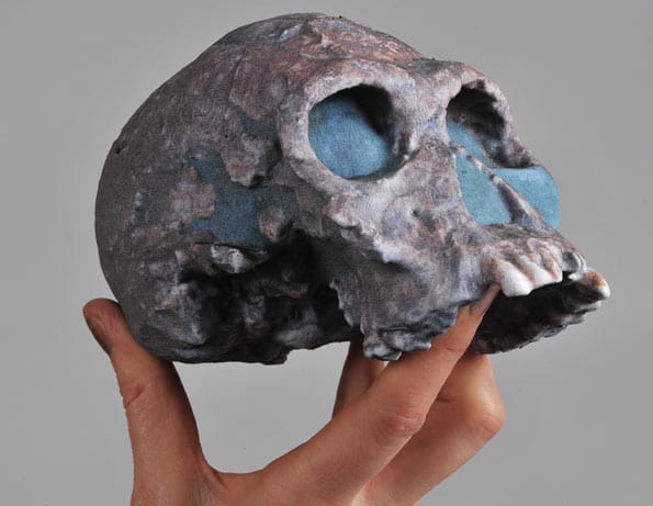 Calavera humana recreada con una impresora 3D a color.