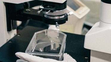 Un test de entre 100 y 200 euros permitirá detectar con una gota de sangre materna las enfermedades genéticas del feto sin tener que pasar por la amniocentosis