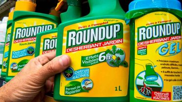 El herbicida 'benigno' RoundUp es tóxico