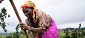 La producción mundial de alimentos dependerá de África y Latinoamérica