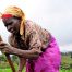 La producción mundial de alimentos dependerá de África y Latinoamérica