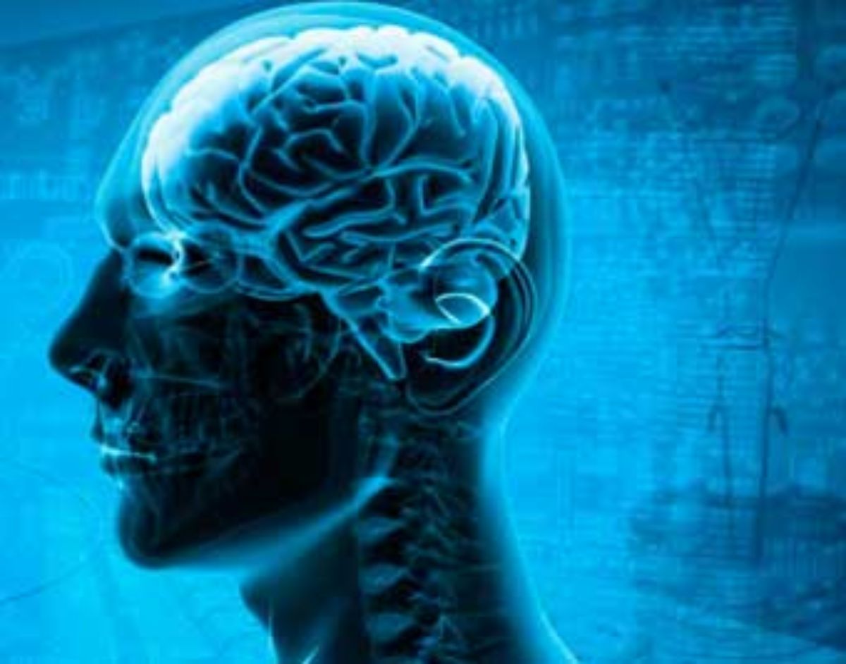 El cerebro y la visión, claves para una correcta lectura eficaz.