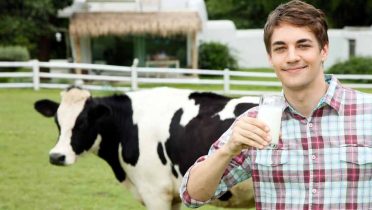 Las mejores marcas de leche son Tierra de Sabor, Llet Nostra, La Vaquera y Condis