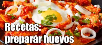 20 formas de preparar huevos con recetas sencillas