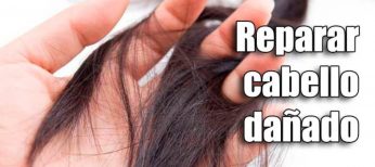 Cómo reparar el cabello dañado