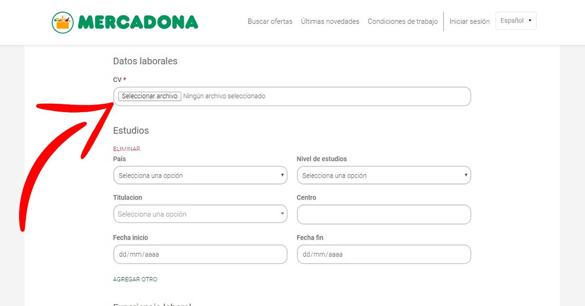Rellenar datos laborales de anteriores trabajos para mandar el CV a Mercadona